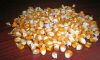 Sell yellow corn