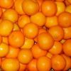 Sell Naval Orange