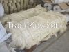 Sisal Fibre