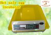 Sell 2013 Best Sale Egg Incubator/Duck Egg Incubator CE Marked