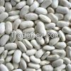 White Kidney Beans