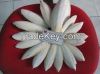 Cuttlefish bones high quality in Vietnam