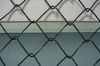 Chain Link Fence