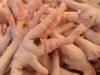  Export Chicken Paw | Chicken Feet Suppliers | Poultry Feet Exporters | Chicken Feets Traders | Processed Chicken Paw Buyers | Frozen Poultry Paw Wholesalers | Low Price Freeze Chicken Paw | Best Buy Chicken Paw | Buy Chicken Paw | Import Chicken Paw | Ch