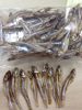 Dried Anchovy Fish