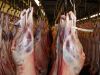 HALAL FROZEN BEEF CARCASS