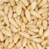 Top quality Organic Pine Nut Kernels for sale