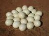 Ostrich eggs