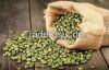 green coffee bean