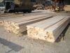 Sawn White Birch timber wood, kiln dried 6-10% AA