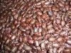 Castor Seed