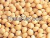 Macadamia Nuts