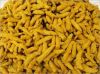 Turmeric Finger Dried