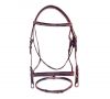 Horse Bridle