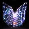 LED wings