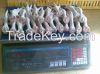 Cheap Quality Chicken feet