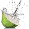 Tender Coconut Water