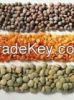 Black Cowpea