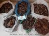 UKRAINIAN RAW AMBER. HIGH QUALITY. WORLDWIDE DELIVERY