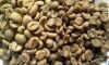 Best quality Indonesian Robusta Coffee beans (EK ELB)