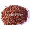 RED SORGHUM