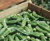 Fresh Okra