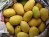 Sell Mango