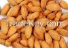 wholesale price almond