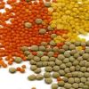 Red Split Lentils