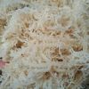 Sea Moss