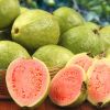 Fresh Guava