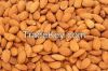 Almond Nuts (without shells)