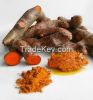 First class Red-Turmeric and Ginger from leading Vietnamese provider