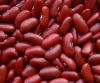 Red Kidney Beans