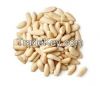 Sell Pine Nuts