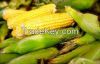 SWEET CORN ON THE COB