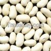 Pure White Kidney Bean Extract