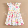 Baby Girl Summer Dresses