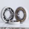 Sell Electric Insulation Bearing
