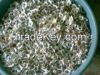 Moringa Seeds