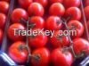 FRESH TOMATOES