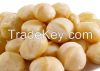 Macadamia Nuts