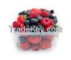 IQF British Seasonal Fruits