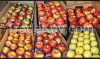 Apples, Royal Gala, Golden Delicious, Fuji, Red Delicious, Cripps Pink, Granny Smith