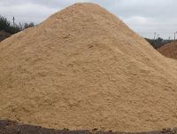 Hot Sale Pine Wood Sawdust