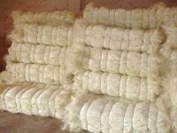 UG Grade Sisal fiber from Kenya