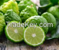 Bergamot essential oil