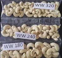 Cashew nuts from Vietnam.