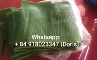 Frozen Banana Leaves from Vietnam