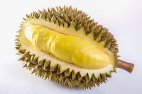 High Quality Ri6 Durian in Whole from Vietnam exporter
